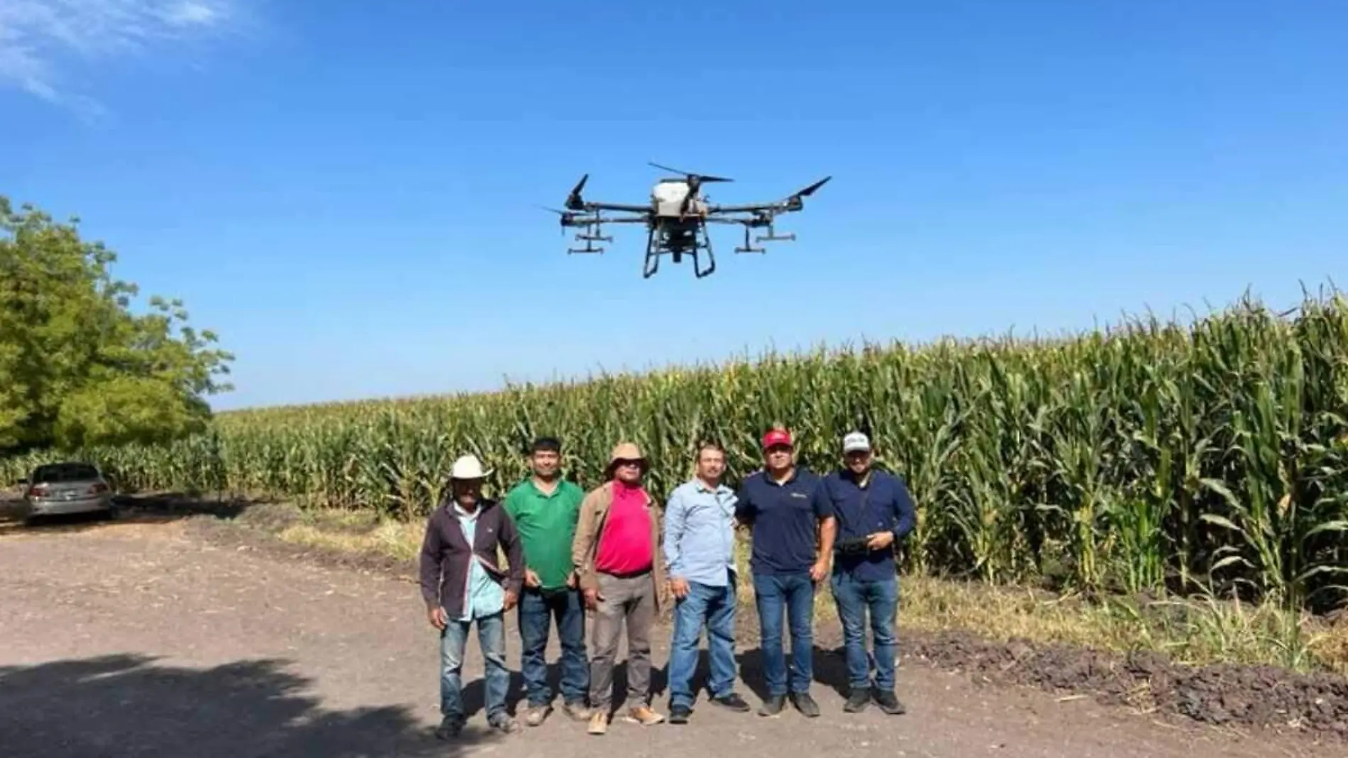 En Sinaloa usan drones para los cultivos